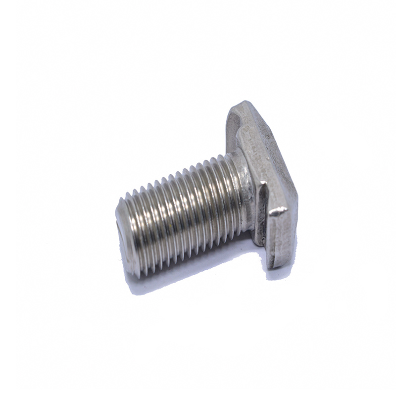 Stainless steel T hammer head screw bolt