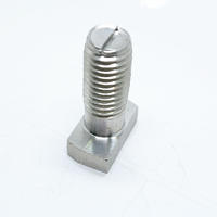Stainless steel T head bolt with slott
