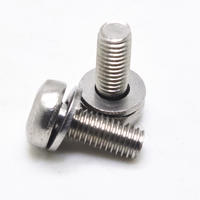 Stainless steel 316 Anti-theft screw